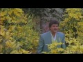 Donga Police1992 Aa Poola Rangu Video Song