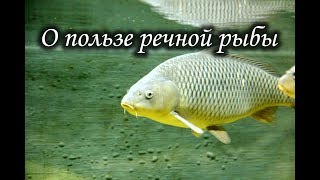 Ссылка