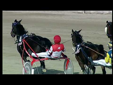 Napoli Trotto 7/11/2021 - 2ª corsa