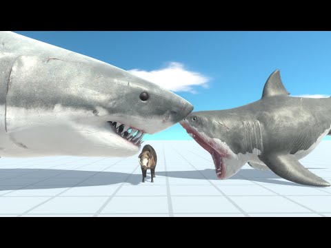 Giant Shark And Baby Megalodon Vs Every Unit ARBS | Animal Revolt Battle Simulator