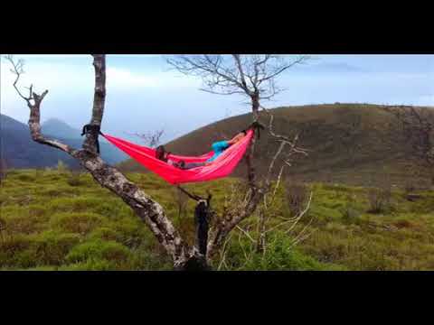 HANYA SATU - neopart