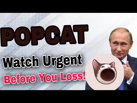 Popcat coin News Today! Popcat Price Prediction