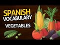 Learn Spanish Vocabulary 