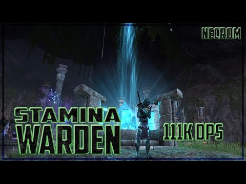 Stamina Warden PVE 111K DPS Parse (Necrom)