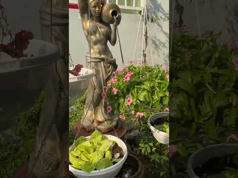 2025年9月29日 (ngày 29 tháng 9, 2025)