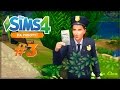 The Sims 4 На работу: #3 "Ловим преступника!" 