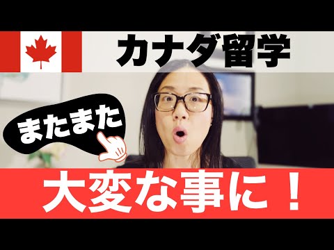 グエルフ大学 - 定義