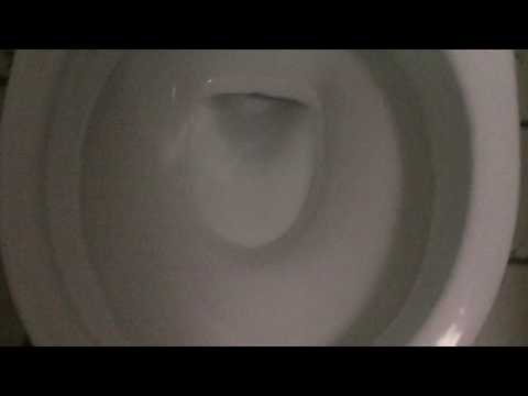 download lagu mp3 mp4 Maid And Magpie, download mp3 Maid And Magpie free download, download mp3 Maid And Magpie