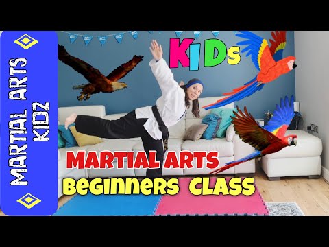 Kids Fun Beginner Martial Arts class - Karate lesson #3 - Learn at home