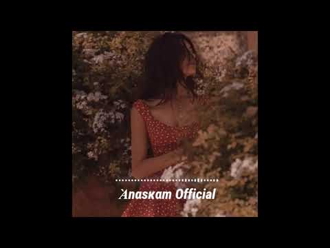 Shamil Veliyev  Yalan-yalan.!🖤🎶