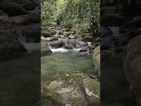 La magia del río en San Carlos, Antioquia #shorts #naturaleza&mas #traveldestinations #colombia