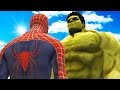 BIG HULK VS SPIDERMAN - THE INCREDIBLE HULK VS SPIDER-MAN (2002)