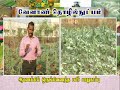 Pon Vilaiyum Bhoomi 01 08 2019 வேளாண் தொழில்நுட்பம்