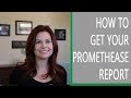 How To Get Your Promethease Report
