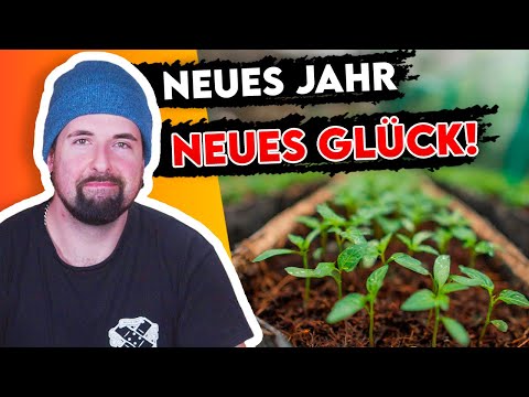 The first chili seedlings of the year are here! 🌶️