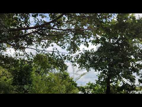 Black Shark 4 -​Video Test 4K 60FPS