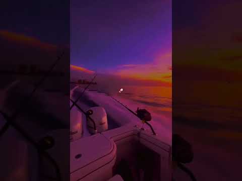 SEM OLHAR PRO CAMINHAR DOS OUTROS MARCHA  #empreeder #vendas #vendasonline #marketing #rendaextra