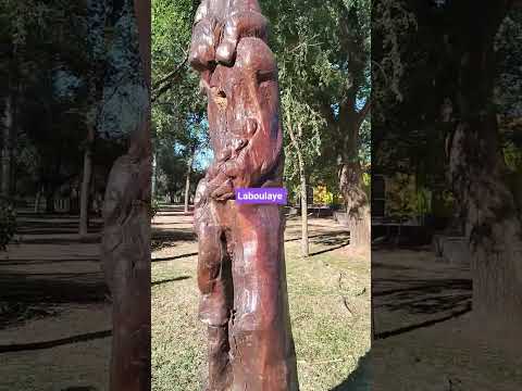 Lago municipal en Laboulaye la perla del sur de Córdoba Argentina #travesia