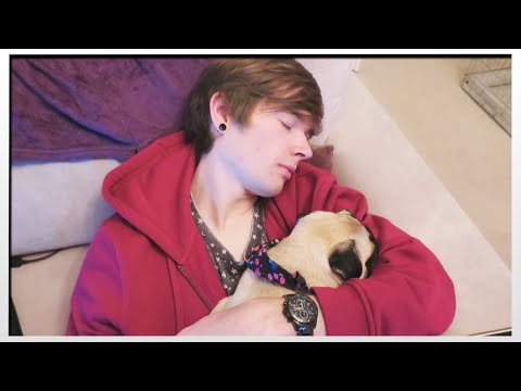 download lagu mp3 mp4 Cosy Day, download lagu Cosy Day gratis, unduh video klip Cosy Day