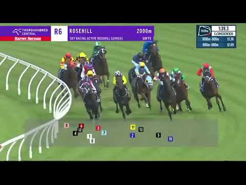 Castelvecchio | Rosehill