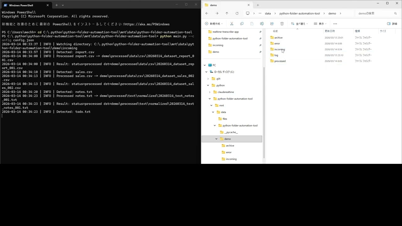 Python Automation Tool Demo