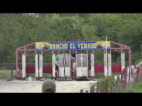 El Heredero vs El Ladron