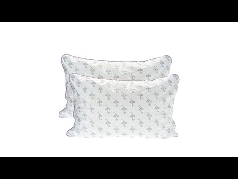 MyPillow Classic 2pack  Standard/Queen