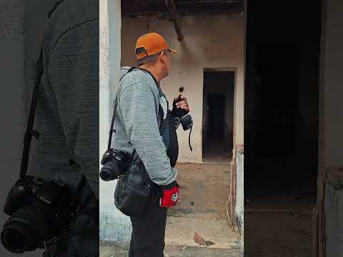 Casarão do Seu Nilo – Pau Branco - Irauçuba