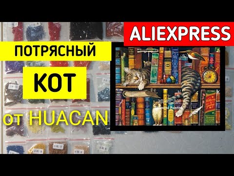 Потрясающий КОТ на КНИГАХ от Huacan / Алмазная Мозаика // Elena Pero