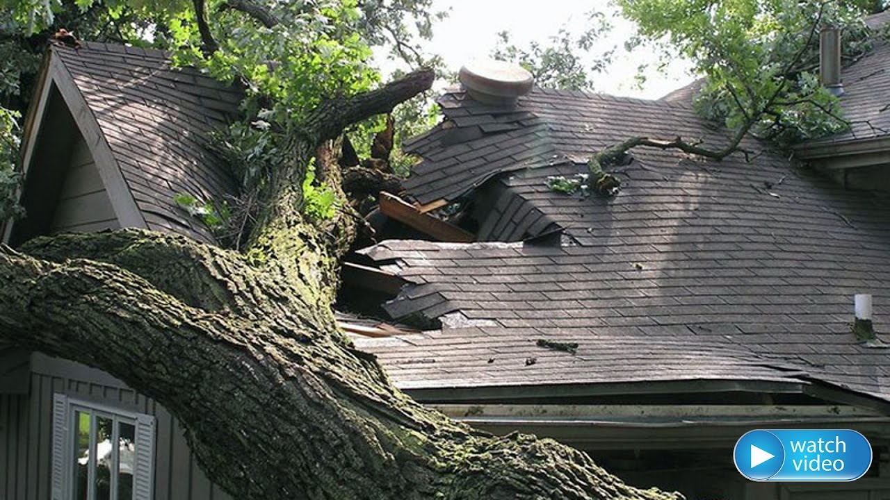 Public Adjuster, Elvis Daf, Atlanta Adjuster, Atlanta Public Adjuster