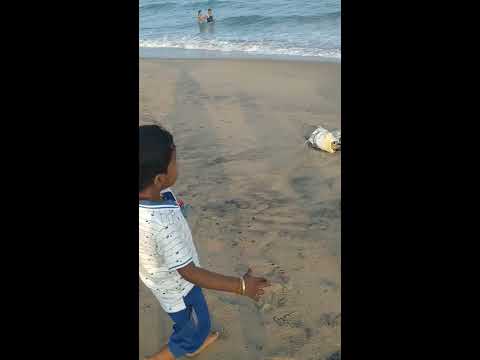 Enjoyment - playing in Beach