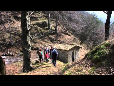 L'anello del Monticello - SentieriNatura 2010 - 06