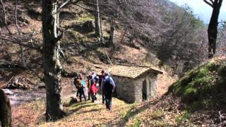 preview picture of video 'L'anello del Monticello - SentieriNatura 2010 - 06'