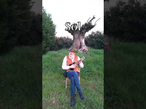 Lezione di ukulele n. 1: accordatura