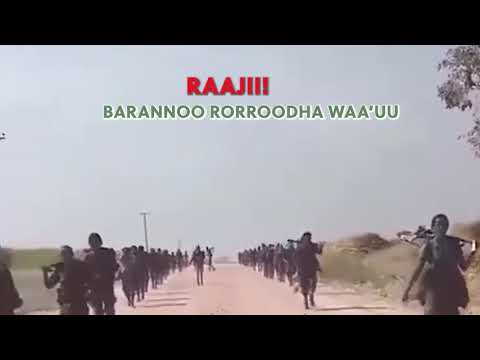 Dagim Mekonen - BARANEEDHA | WBO Oromo Music *NEW VIDEO 2021*