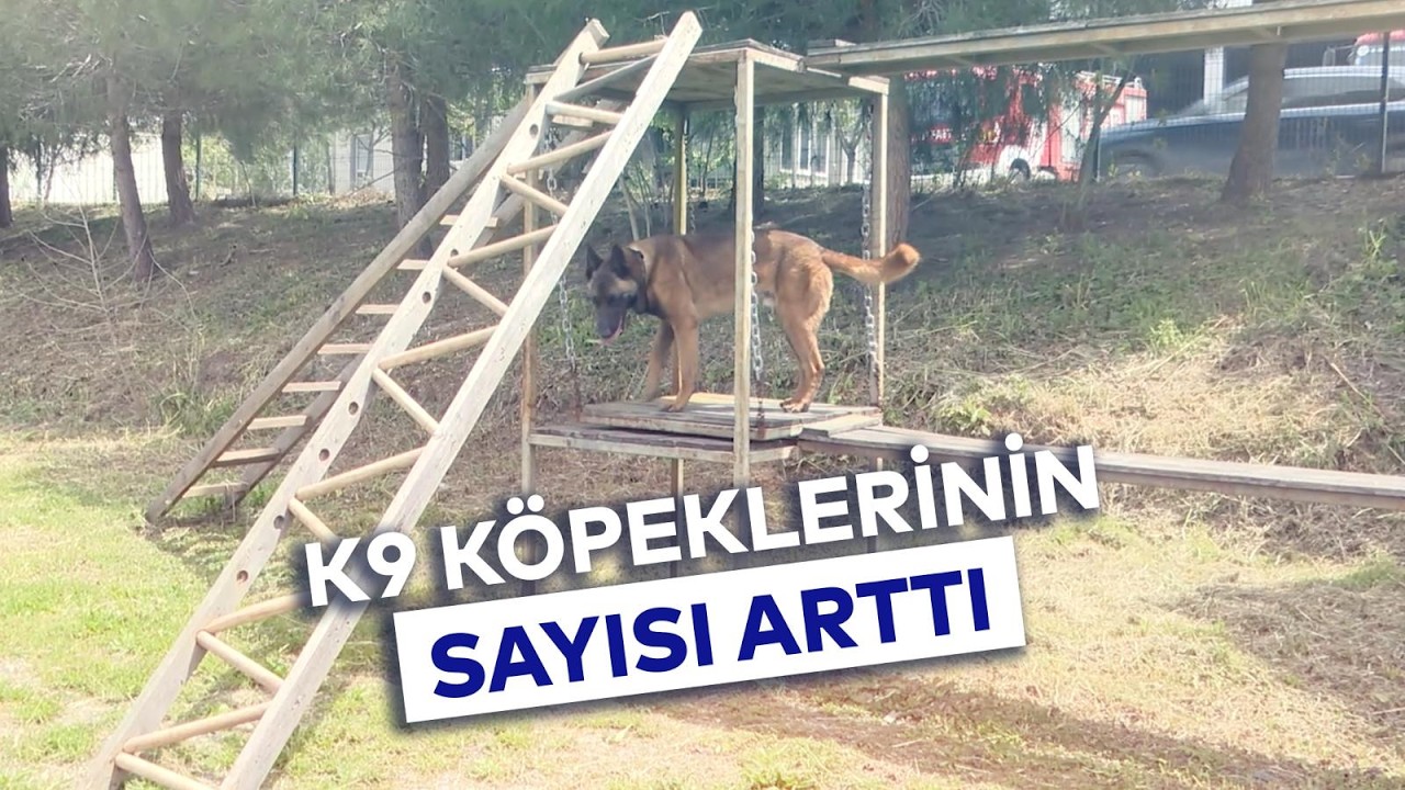 K9 KÖPEKLERİNİN SAYISI ARTTI