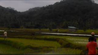 Download lagu Bareli di tanah sirah bukit gombak mp3