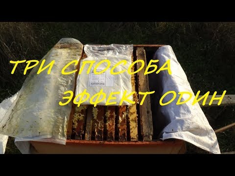 Способ хорошей зимовки пчелы