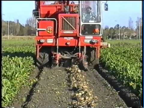 Loonw. Vergauwe - Nieuwpoort