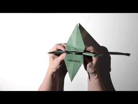 ALTERnative Frauenbilder -  Vielfalten: Kranich