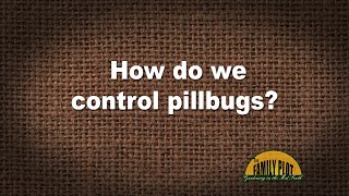 Q&A – How do I control pillbugs in my garden?
