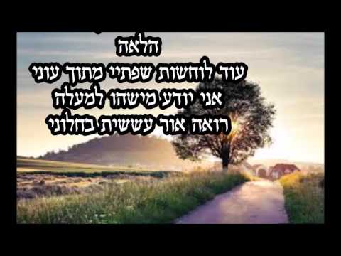 מישהו הולך תמיד איתי-אברהם פריד