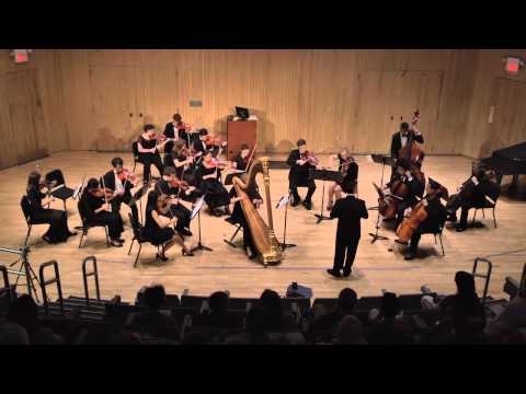 Antonio Vivaldi - Concerto for Lute in D Major First Movement - Gioacchino Longobardi