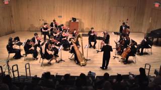 Antonio Vivaldi - Concerto for Lute in D Major First Movement - Gioacchino Longobardi