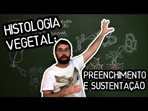 Parenchyma, Collenchyma and Sclerenchyma - Class 13 - Module V: Botany (Prof. Guilherme)