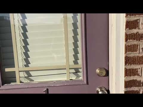 The Selma - Video 2 of 2