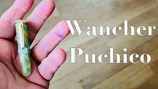 The Cutest Little Pen...Wancher Puchico Feat. Flexispot Recliner
