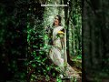 Butterflyzmediacreaters Malayalam Song Enikkoru Pennund Song WhatsApp Status