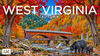 Autumn in West Virginia 4K 🍁 Golden Forests, New River Gorge and Endless Appalachian Mountains