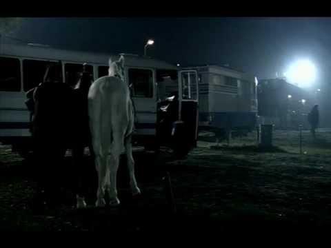 Konie + Autsajder  film Skazany na Bluesa